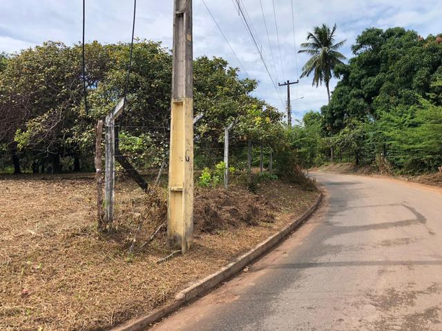 Vendo Sítio no Timbuba - Foto 5