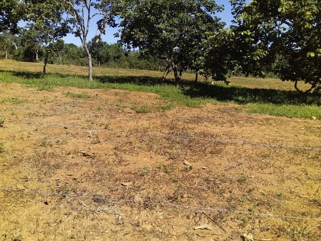 Terreno á 8 km do centro de Luziânia