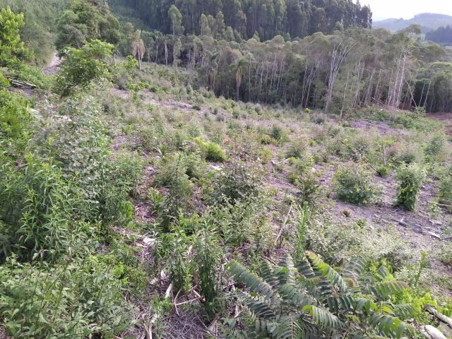 Terreno Rural