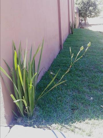 Belíssima casa em Ji-Paraná - Foto 8