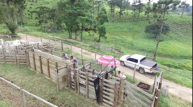 Fazenda em Visconde de Mauá RJ - Foto 20
