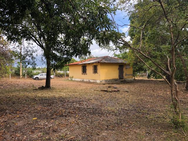Vendo Sítio no Timbuba - Foto 4