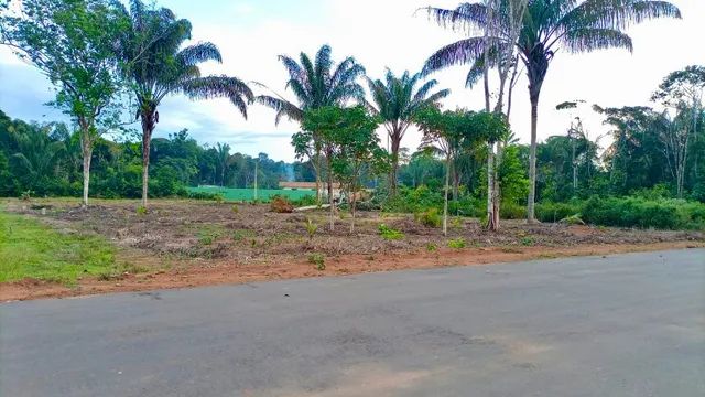 Chácaras Rio Negro,  lotes 3.000 m2, excelentes preço e transferência. - Foto 4