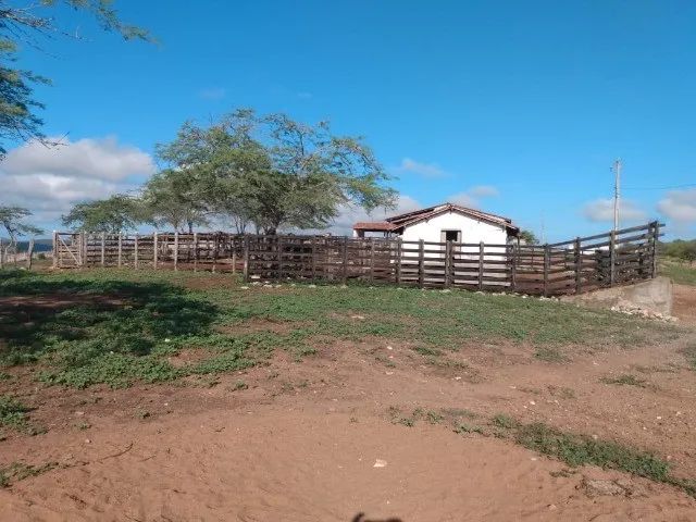 Fazenda no Cariri medindo 460 hectares ideal para criação bovinos e caprinos - Foto 3