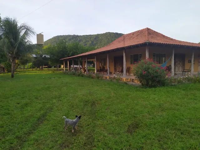 Fazenda à venda, Zona Rural - MIRANDA/MS - Foto 2