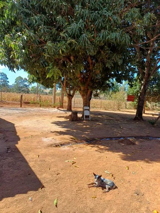 foto - Brasília - Setor Habitacional Mestre D'Armas (Planaltina)
