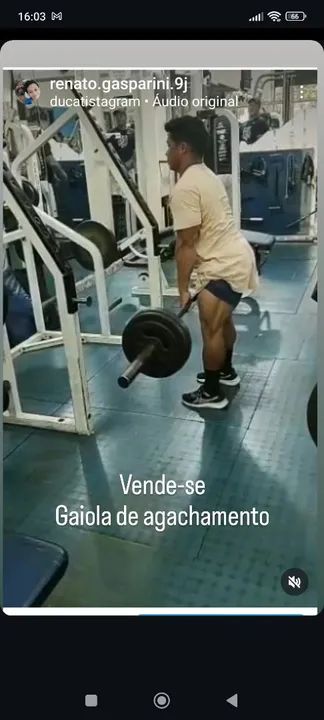 Agachamento livre Cybex ótimo estado ótimo preço 