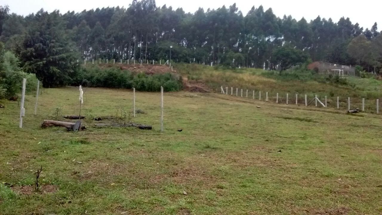 Chácara em Munhoz -MG - Foto 5
