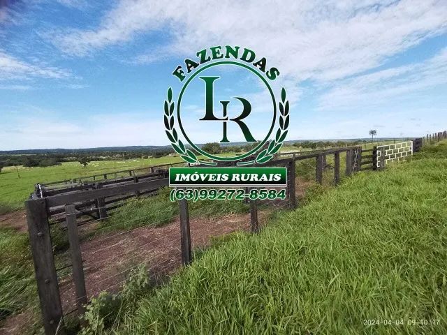 Chácara/Fazenda 11 alqueires  Próximo a Palmas - Foto 2