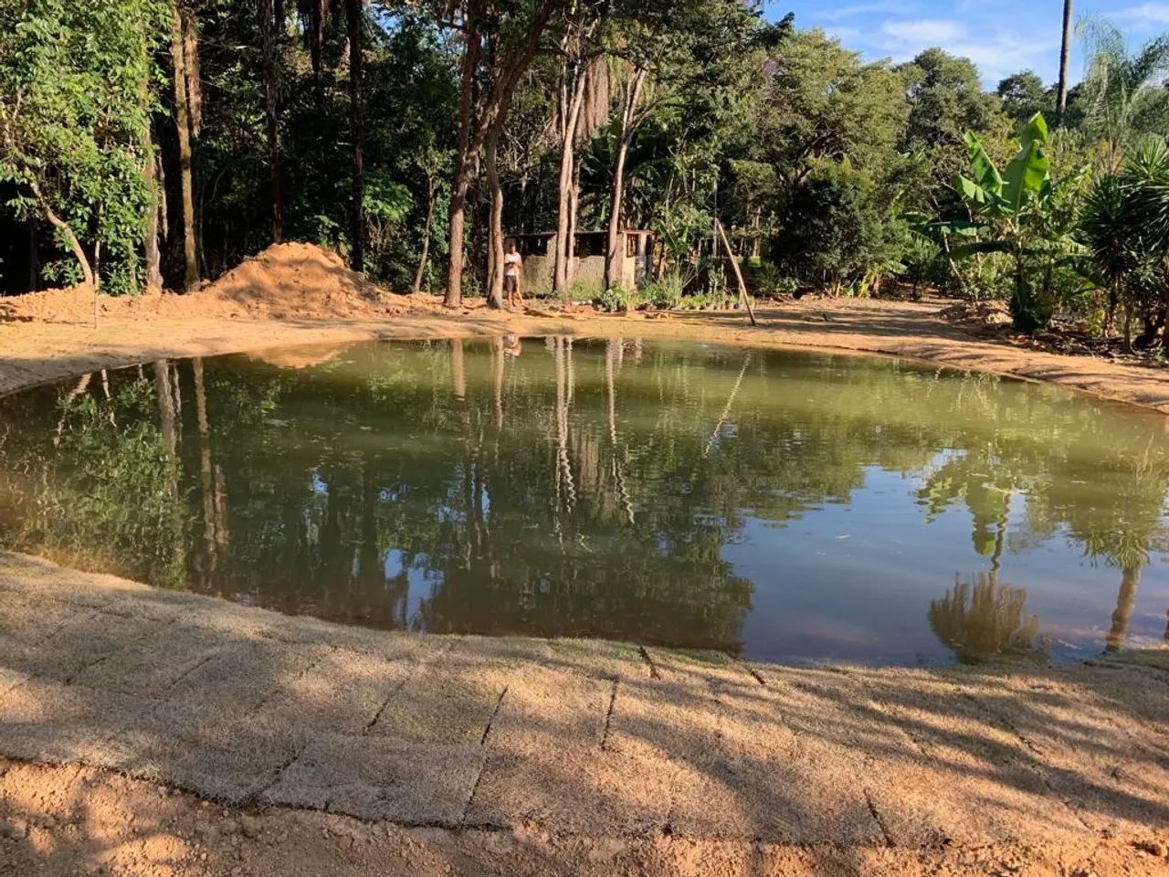 Vendo Sítio impecável, sustentável e gera ganhos aluguel atualmente - Foto 3