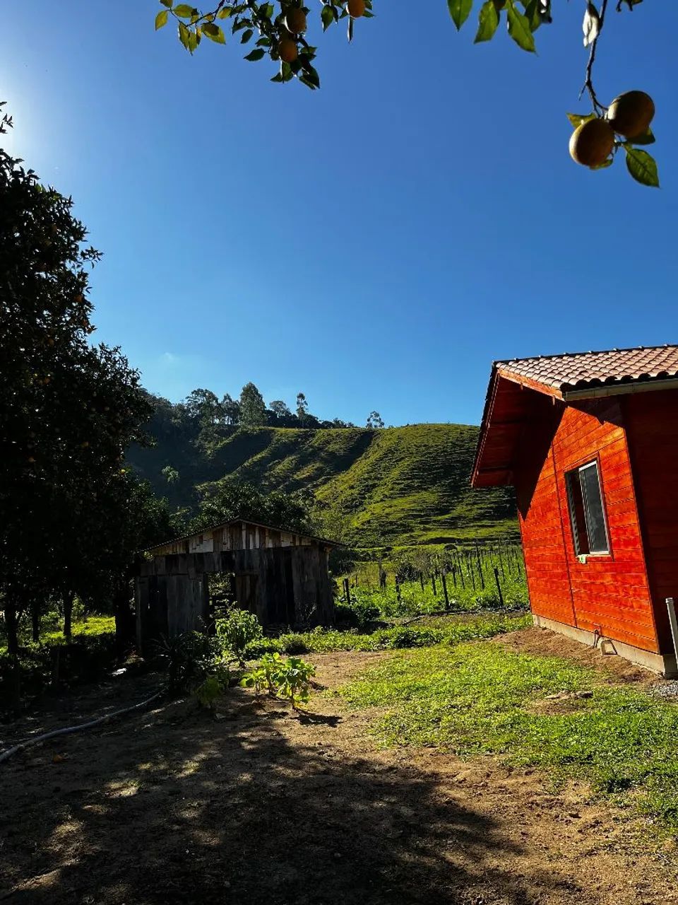 ALUGO CASA NO SÍTIO  - Foto 3