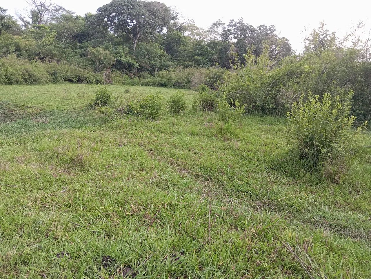 Chacara Rio Vermelho  - Foto 2