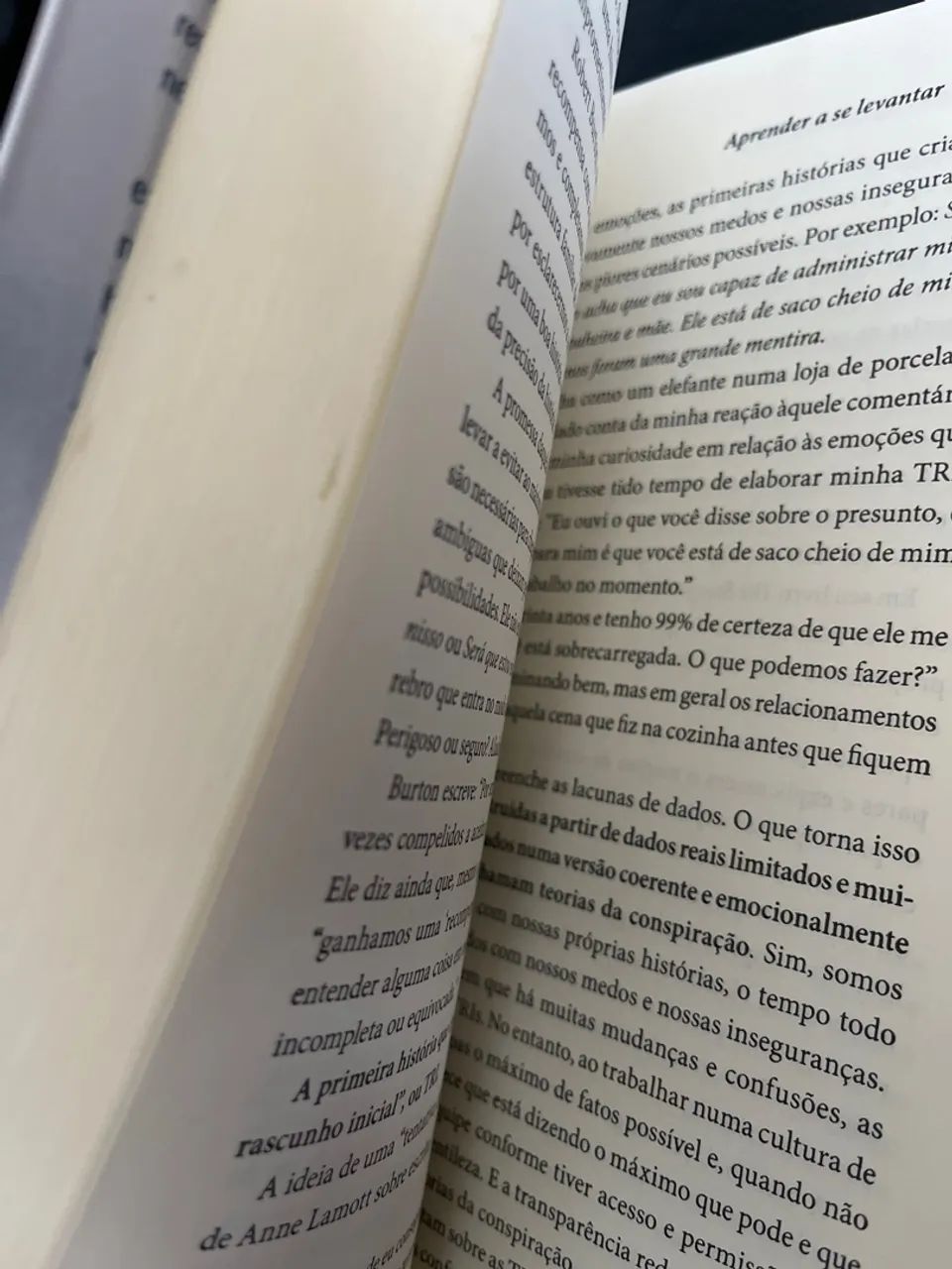 A Coragem para Liderar - Brené Brown - Foto 3