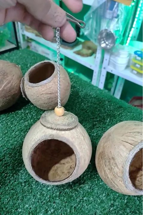 Casa de coco para hamster - Foto 3
