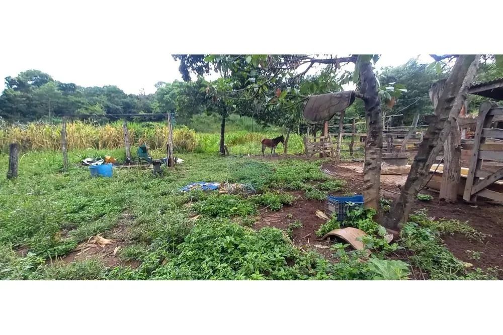 Chácara a venda Brazlândia DF 3 Hectares - Foto 5