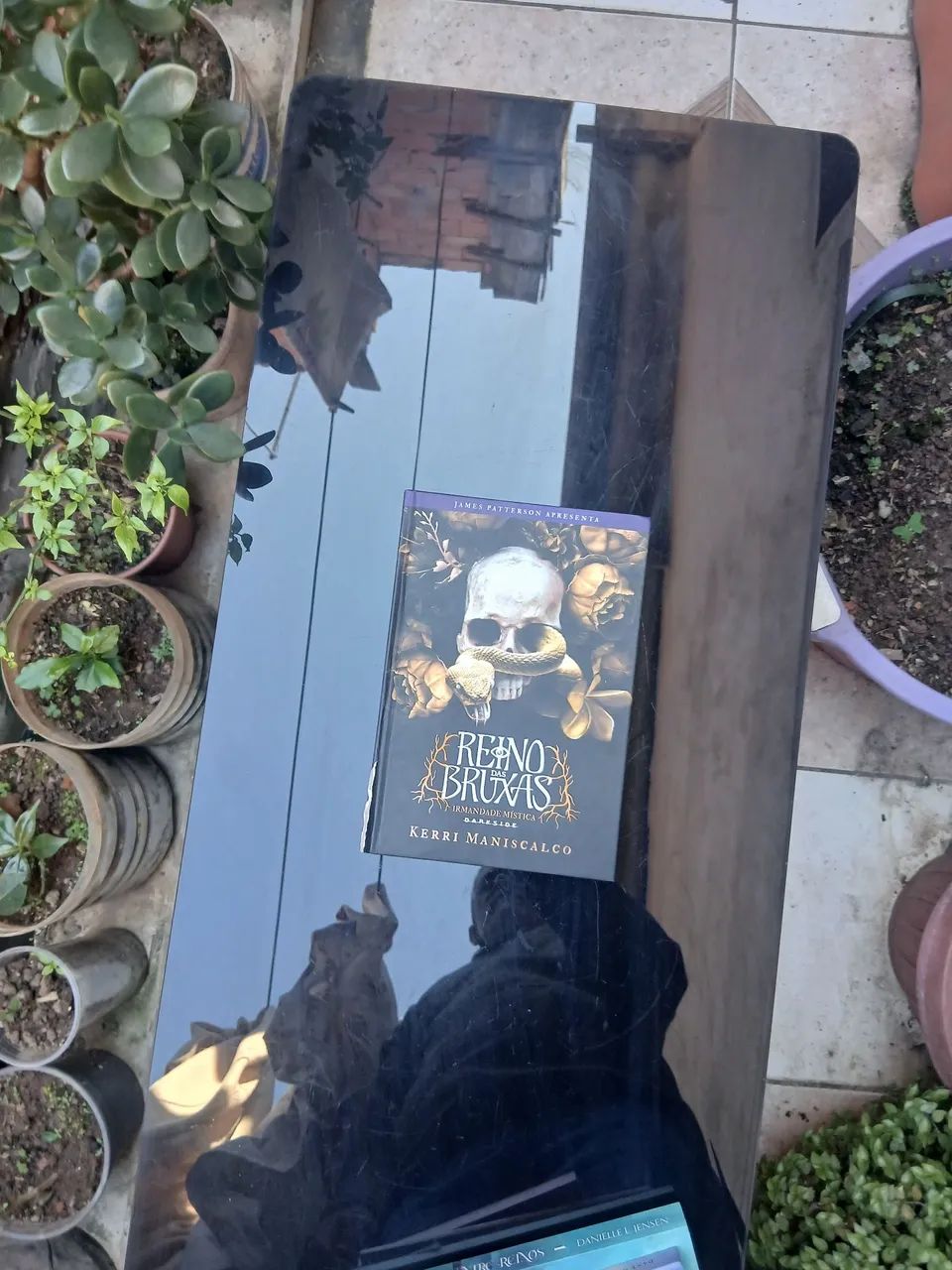 Livro Reino das Bruxas - Kerri Maniscalco