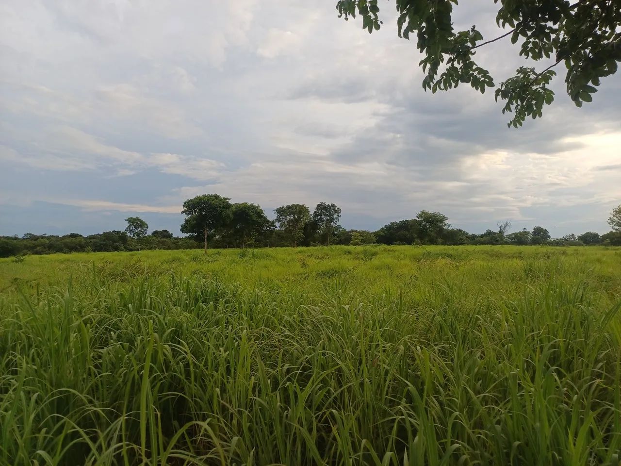 Foto - Brasília - Taguatinga Sul (Taguatinga)
