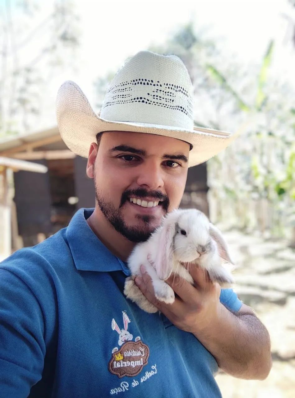 Promoção de Natal- Coelhos PET (Mini, anões e GIGANTES) - Foto 4