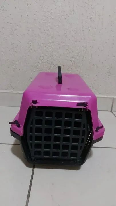 Caixa transportadora e arranhador 