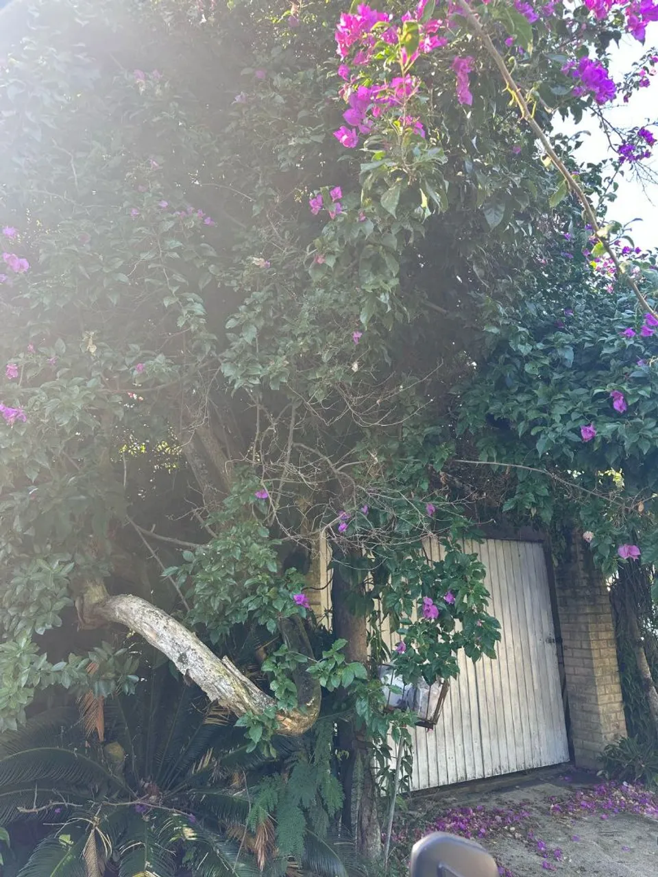 Aluguel de quarto casal em casa compartilhada