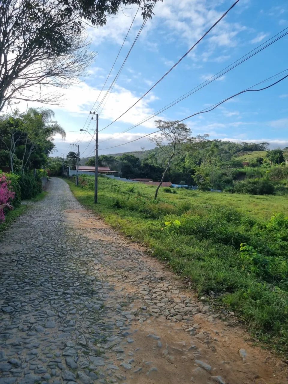 Terreno/Granja Matias Barbosa  - Foto 3
