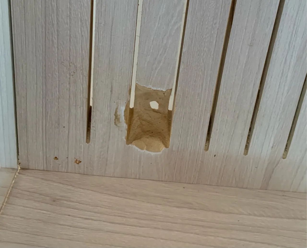 Terrário para hamsters  - Foto 5