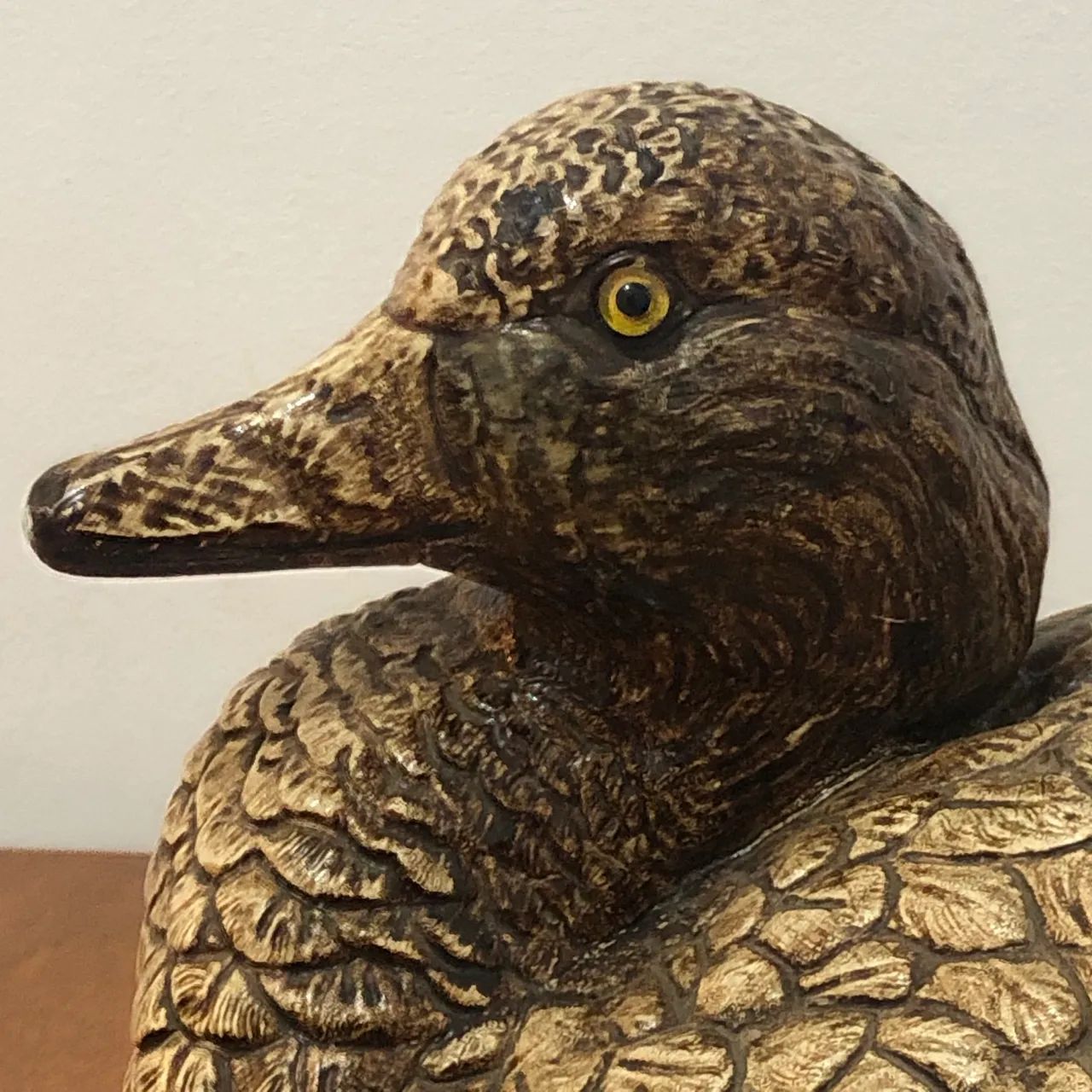 Pato selvagem - Foto 2