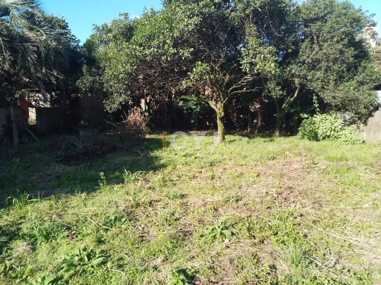 Terreno no centro de Cachoeirinha - Foto 3