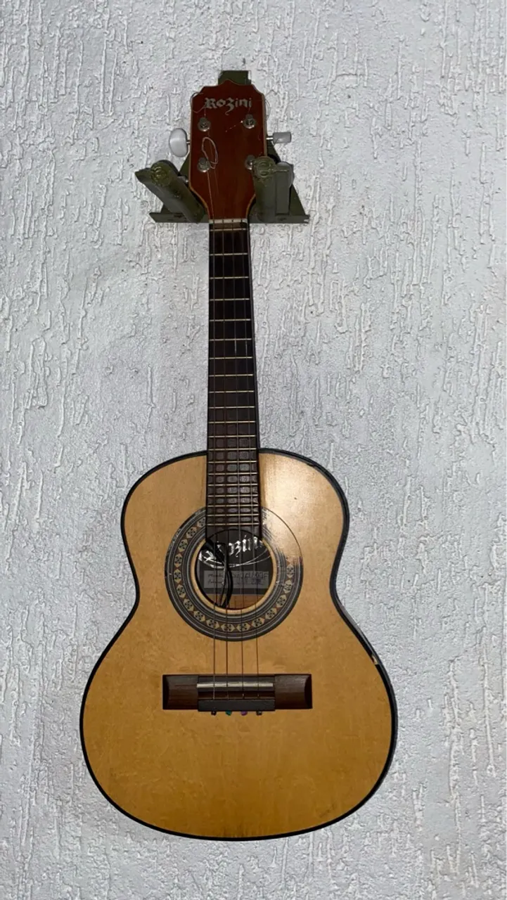 CAVACO ELÉTRICO ROZINI