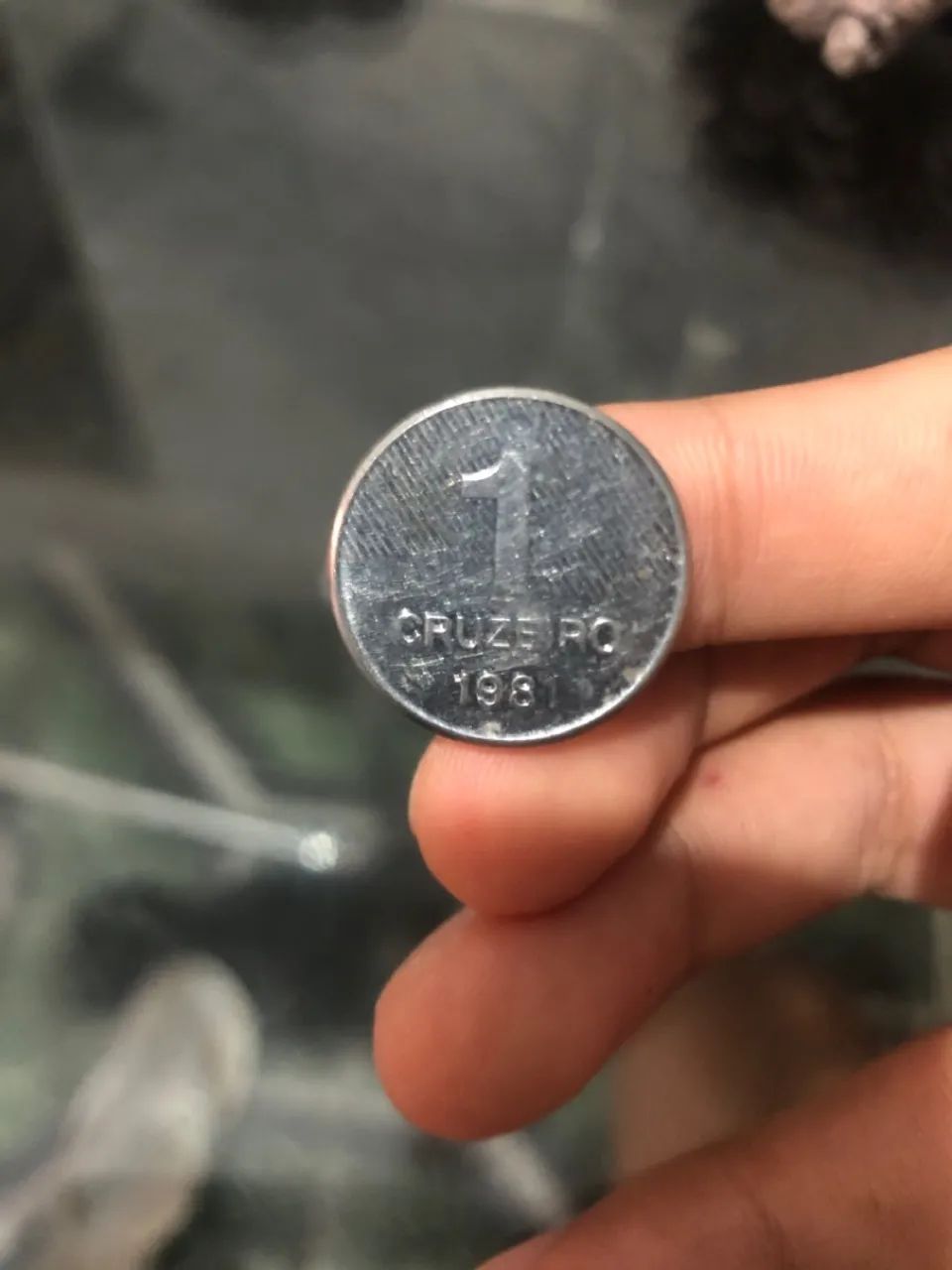 1 Cruzeiro 1981, Cana de açúcar. 