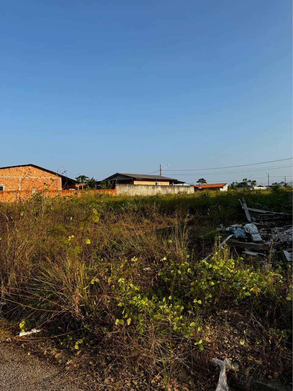 Lote 10x25 floresta tropical