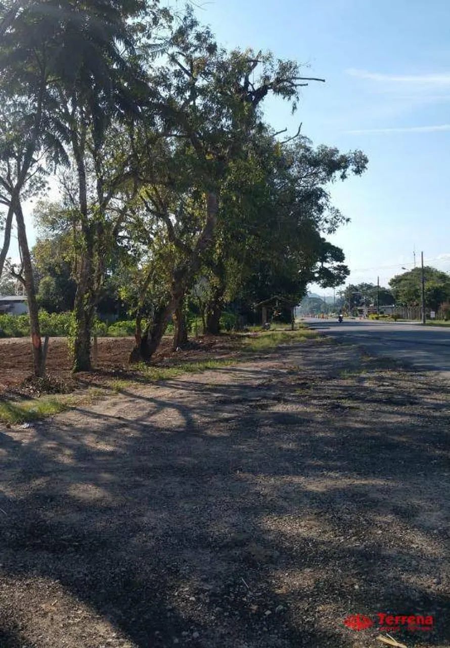Terreno, 55000 m² - Venda ou Aluguel - Sete de Setembro - Gaspar/SC - Foto 5