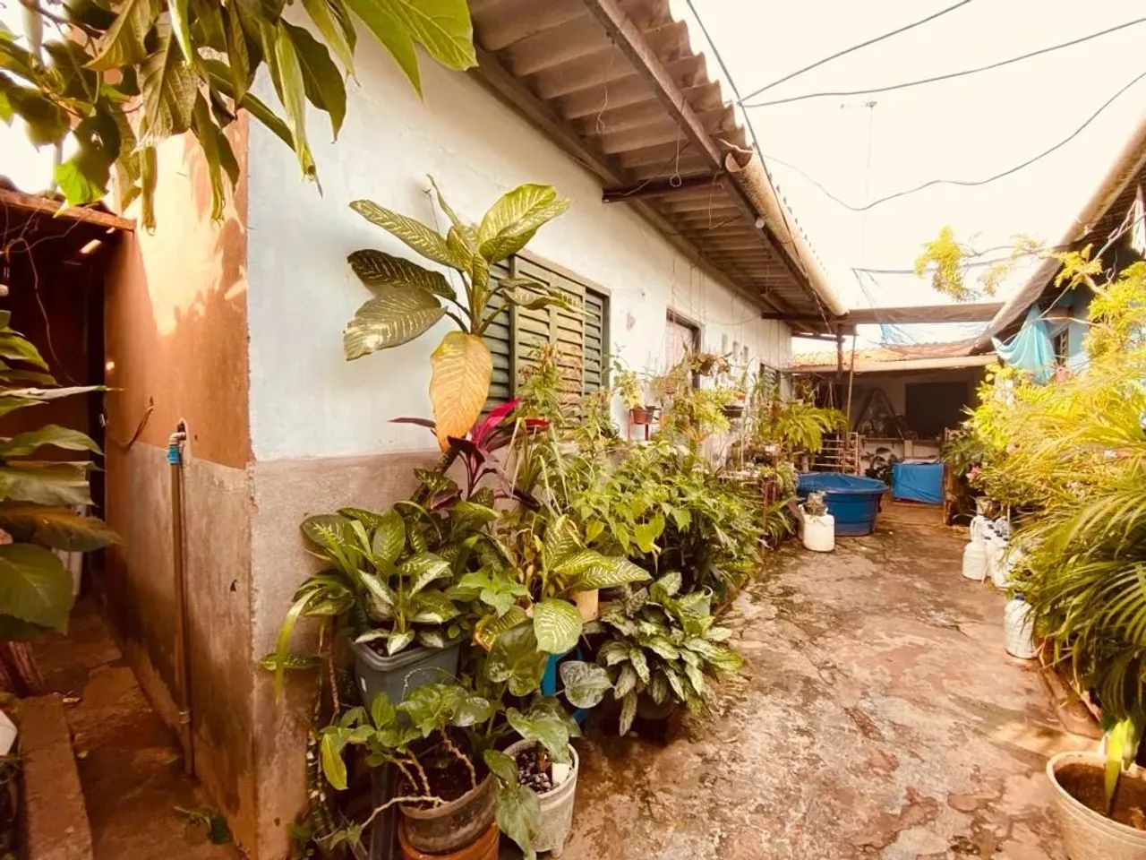 Lote na QR 216 | Desocupado e (ESCRITURADO) com 03 Barracos | 150m² | Santa Maria - Foto 2