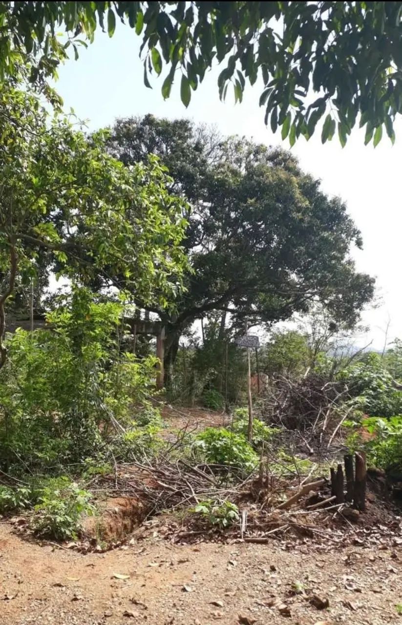 Terreno no Km 37 - Foto 4