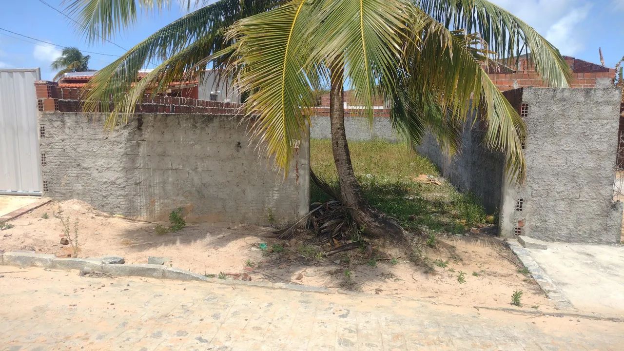 Terreno Jacumã/Carapibus  - Foto 3