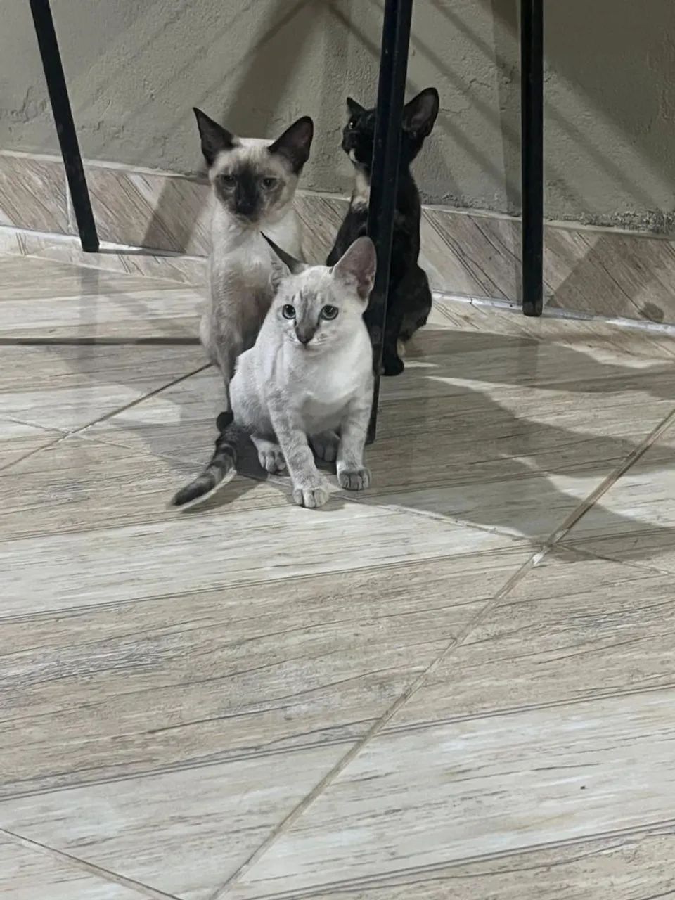 Doaçã o