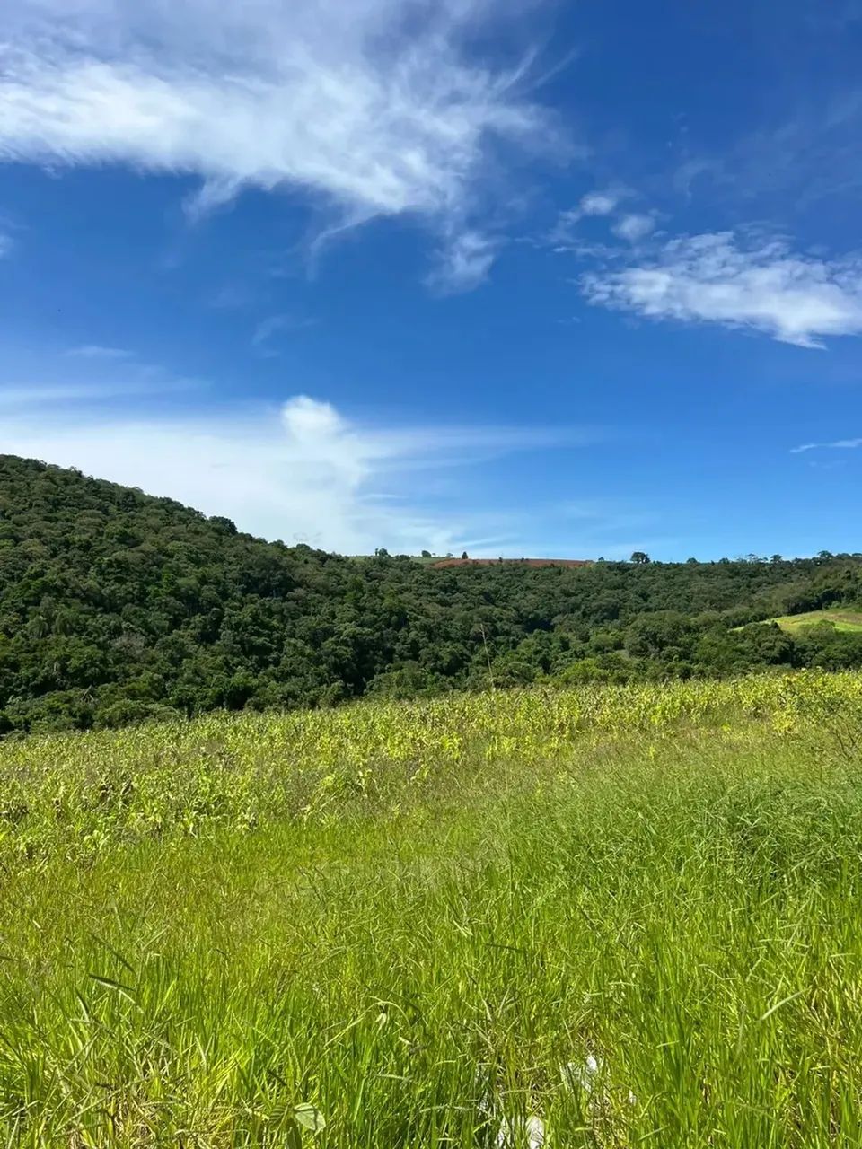 Pré-Lançamento de Terrenos em Ibiúna com Condições Especiais - Foto 8