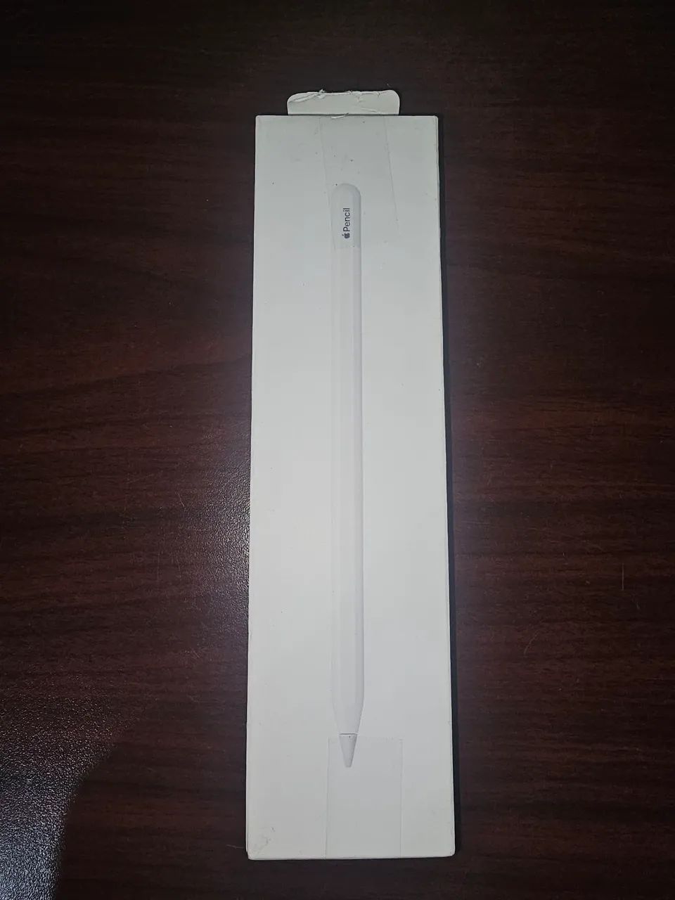 Apple Pencil (2nd Generation) Modelo A2051 com conexão magnetica