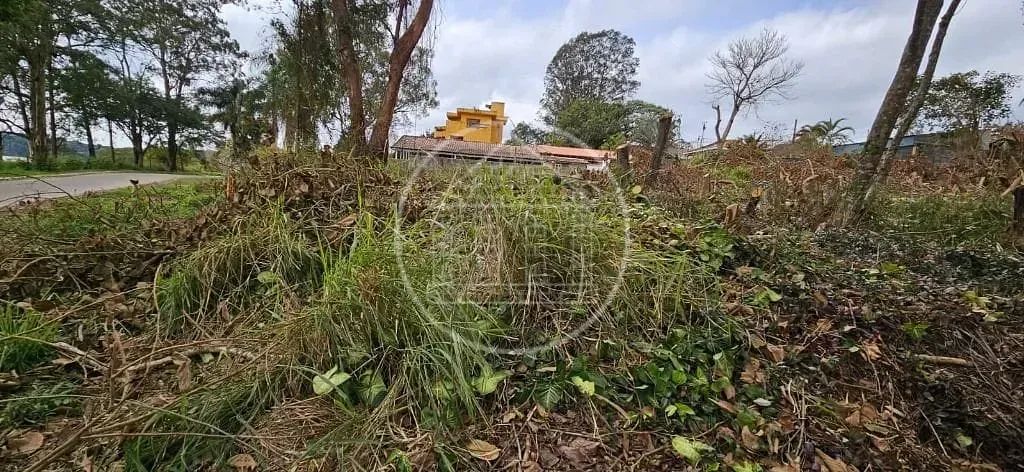 Terreno à venda no Parque do Terceiro Lago - Foto 5