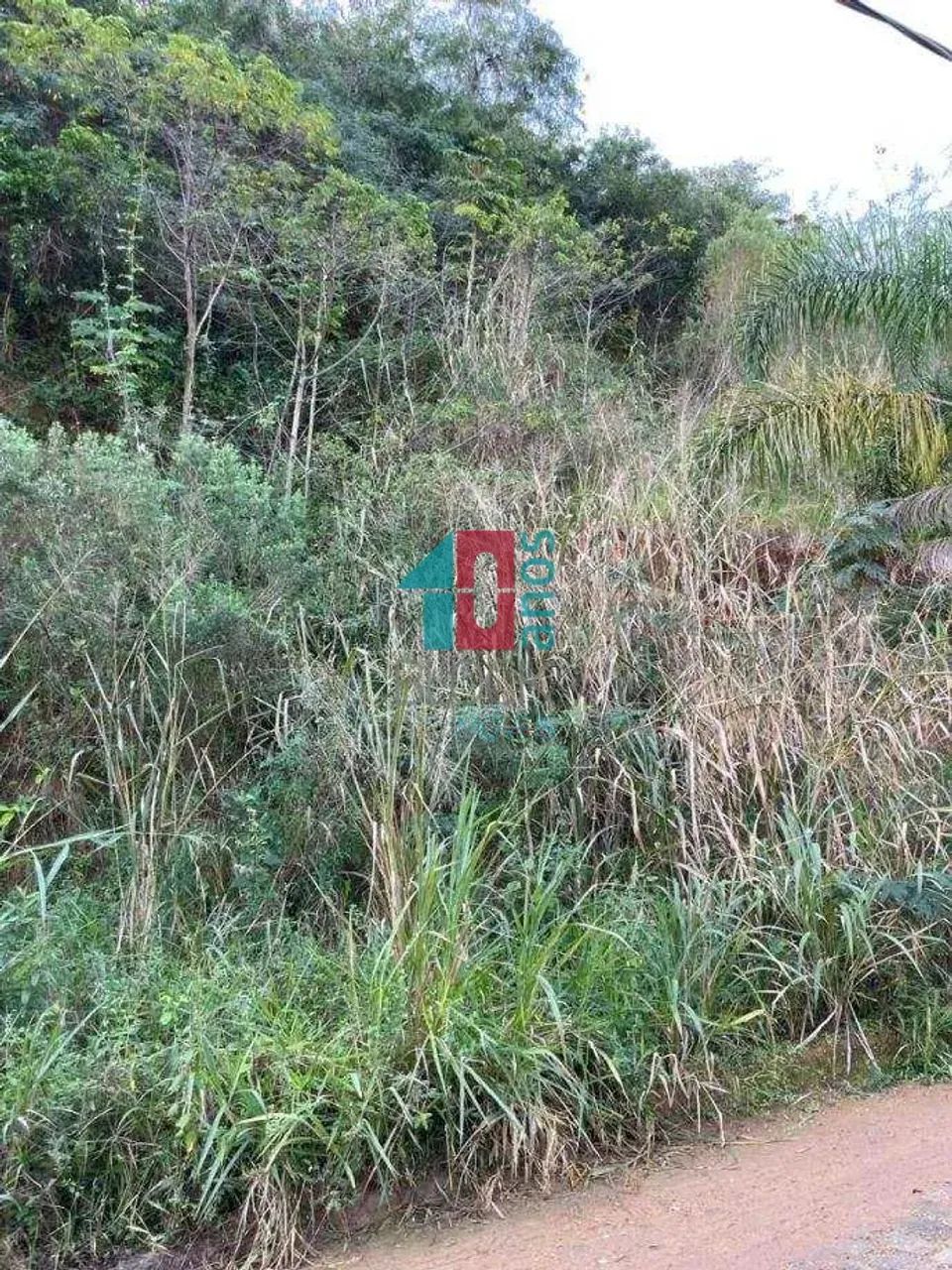 Pechincha | Terreno - Foto 4