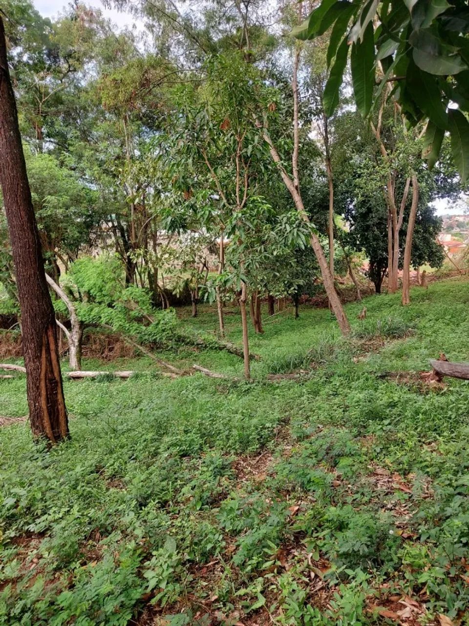 CHÁCARA NA VILA LUZO 2800 M2 - Foto 2