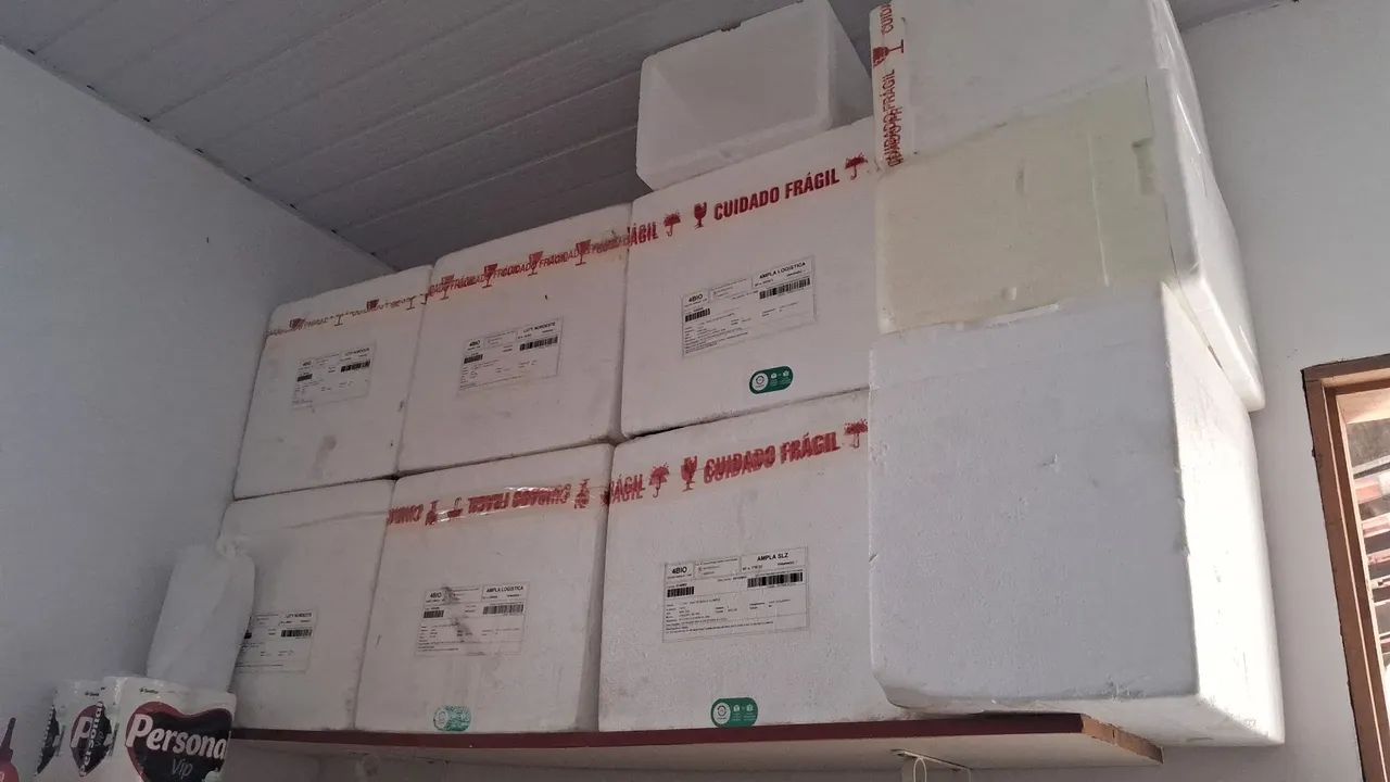 Caixa de isopor 18lt
