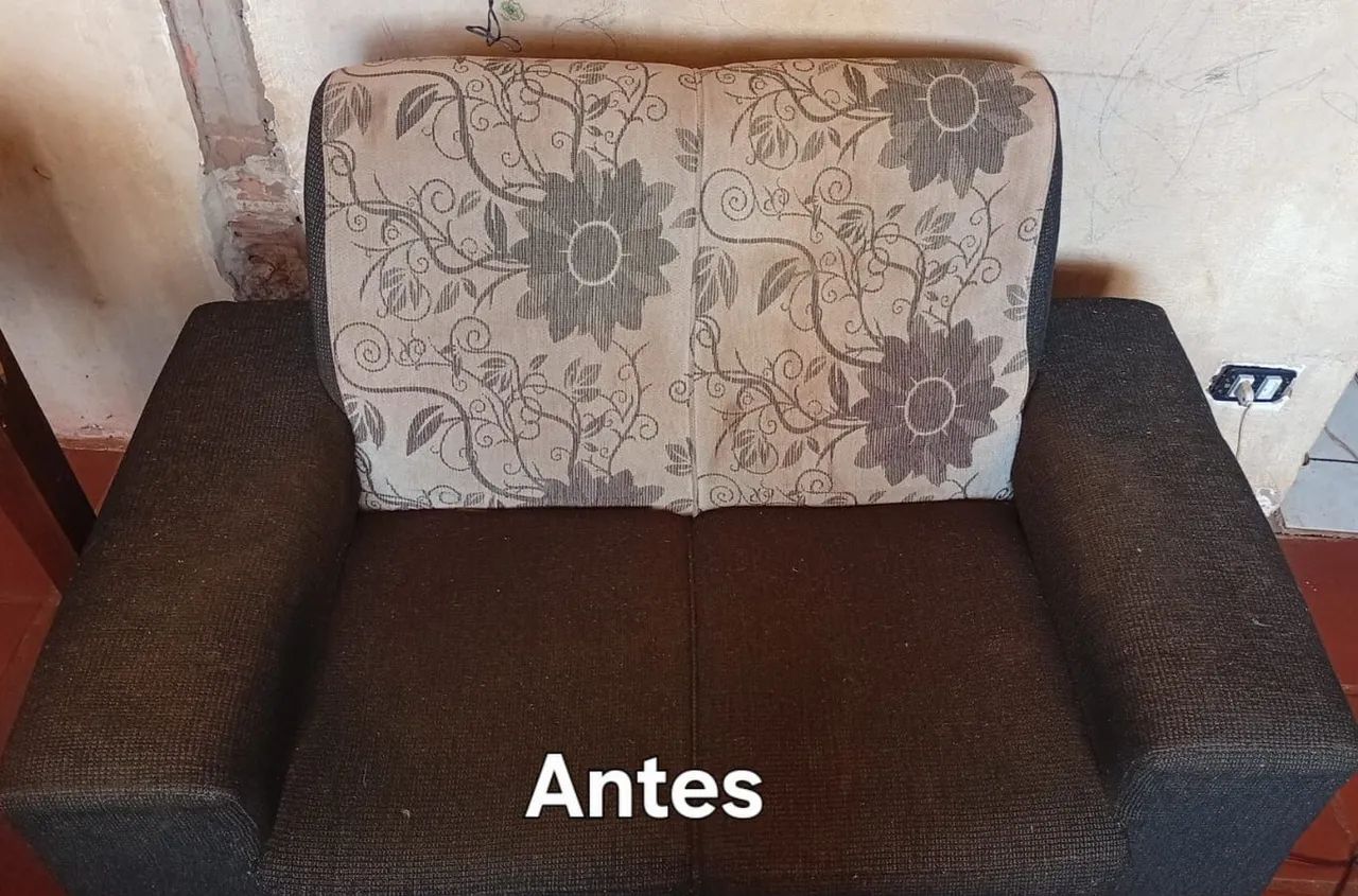 Higienização a Seco - Foto 3