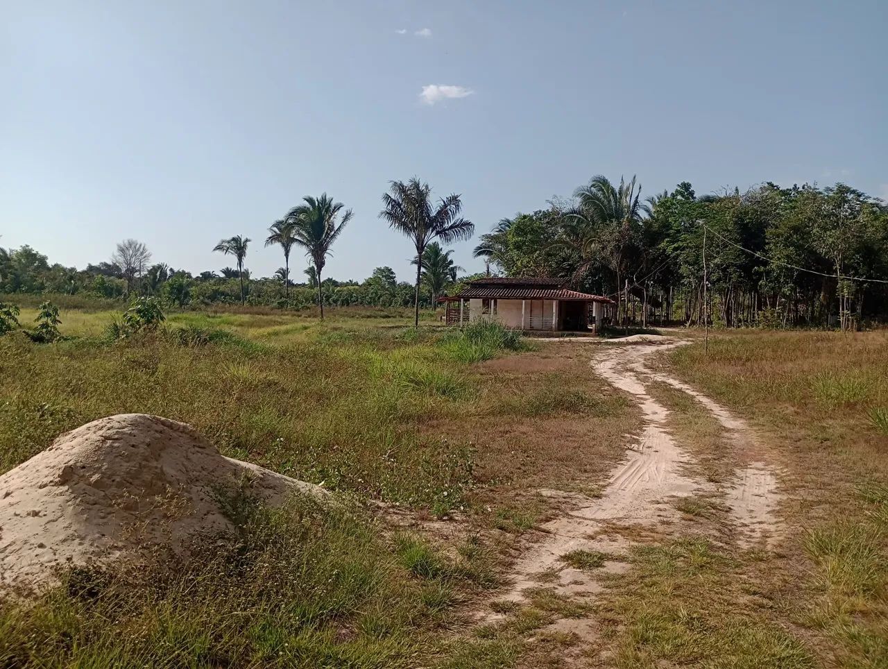 Vendo um terreno/sítio em Bacabeira