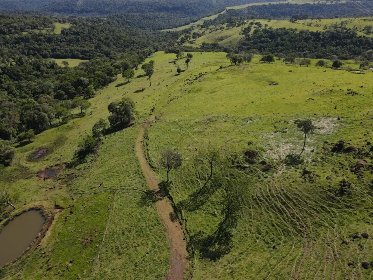 Fazenda à venda em Ramilândia/PR - Foto 3