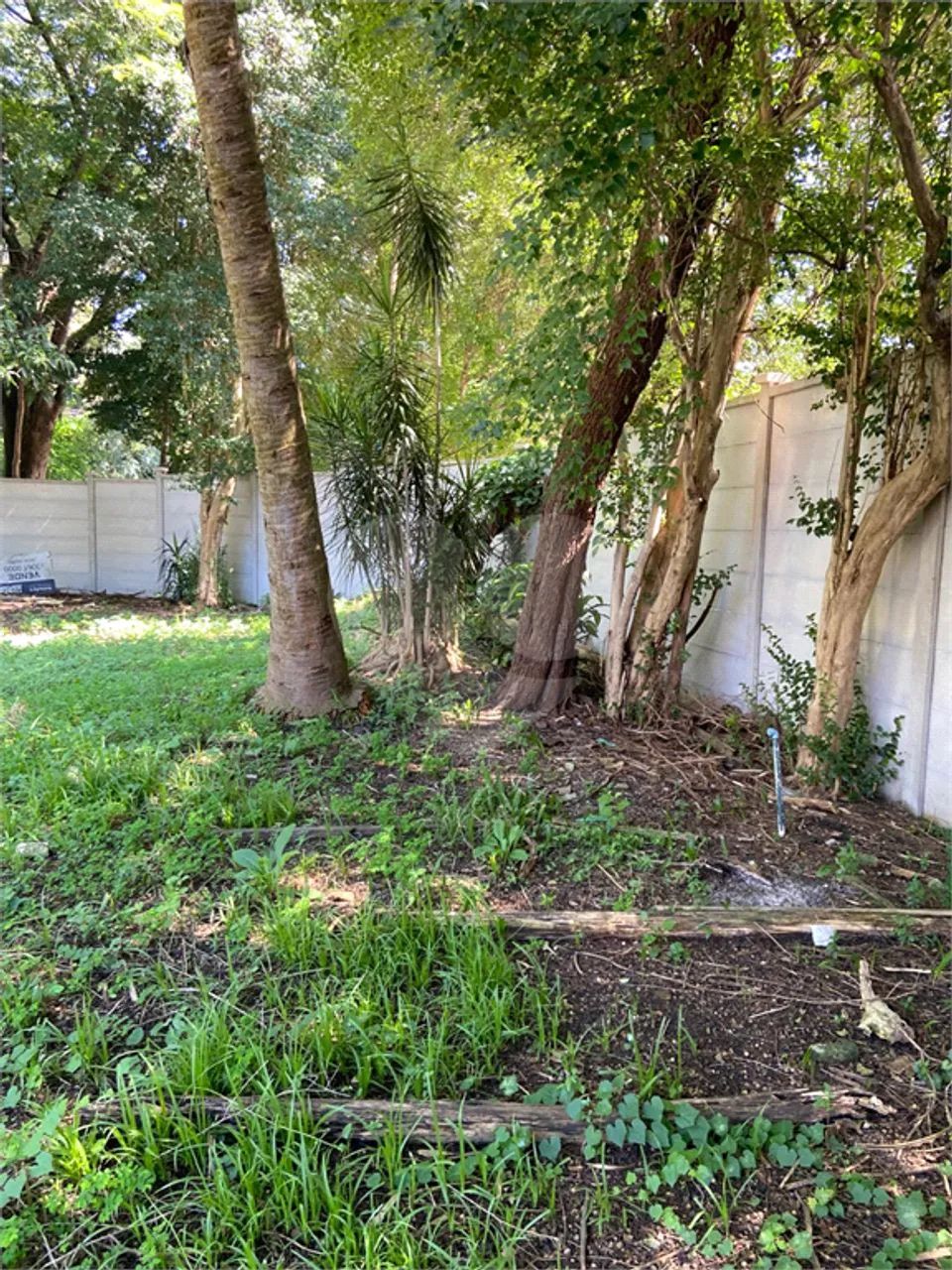 Terreno à venda em Vila madalena - SP - Foto 5