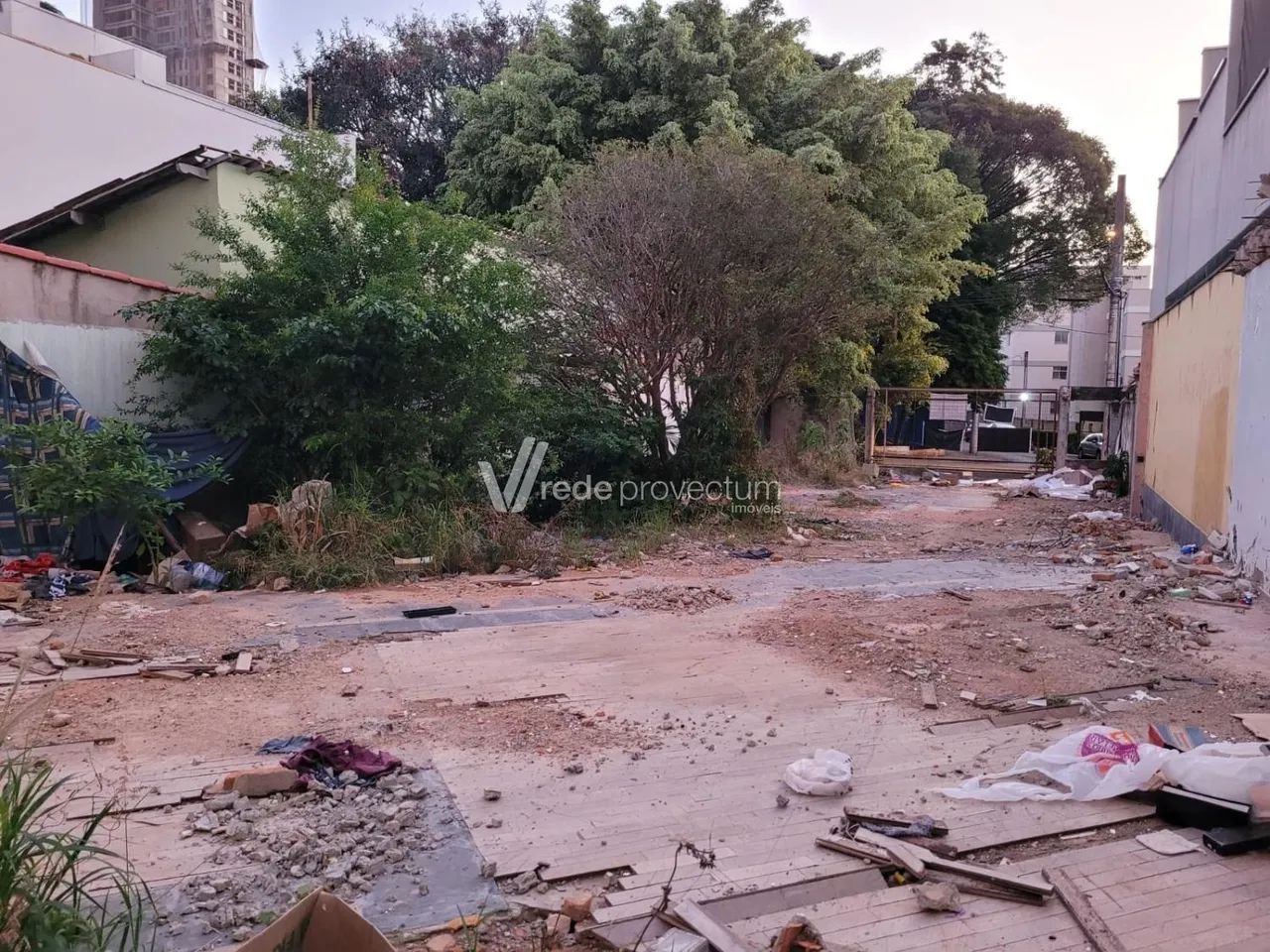 terreno - Cambuí - Campinas - Foto 5