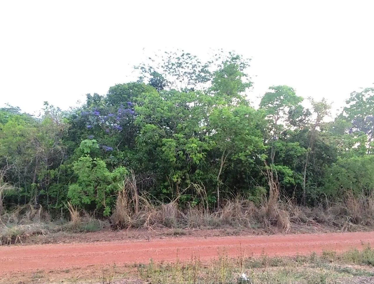 Chácara Recanto dos Pássaros - HOSP. JÚLIO MULLER - Foto 4