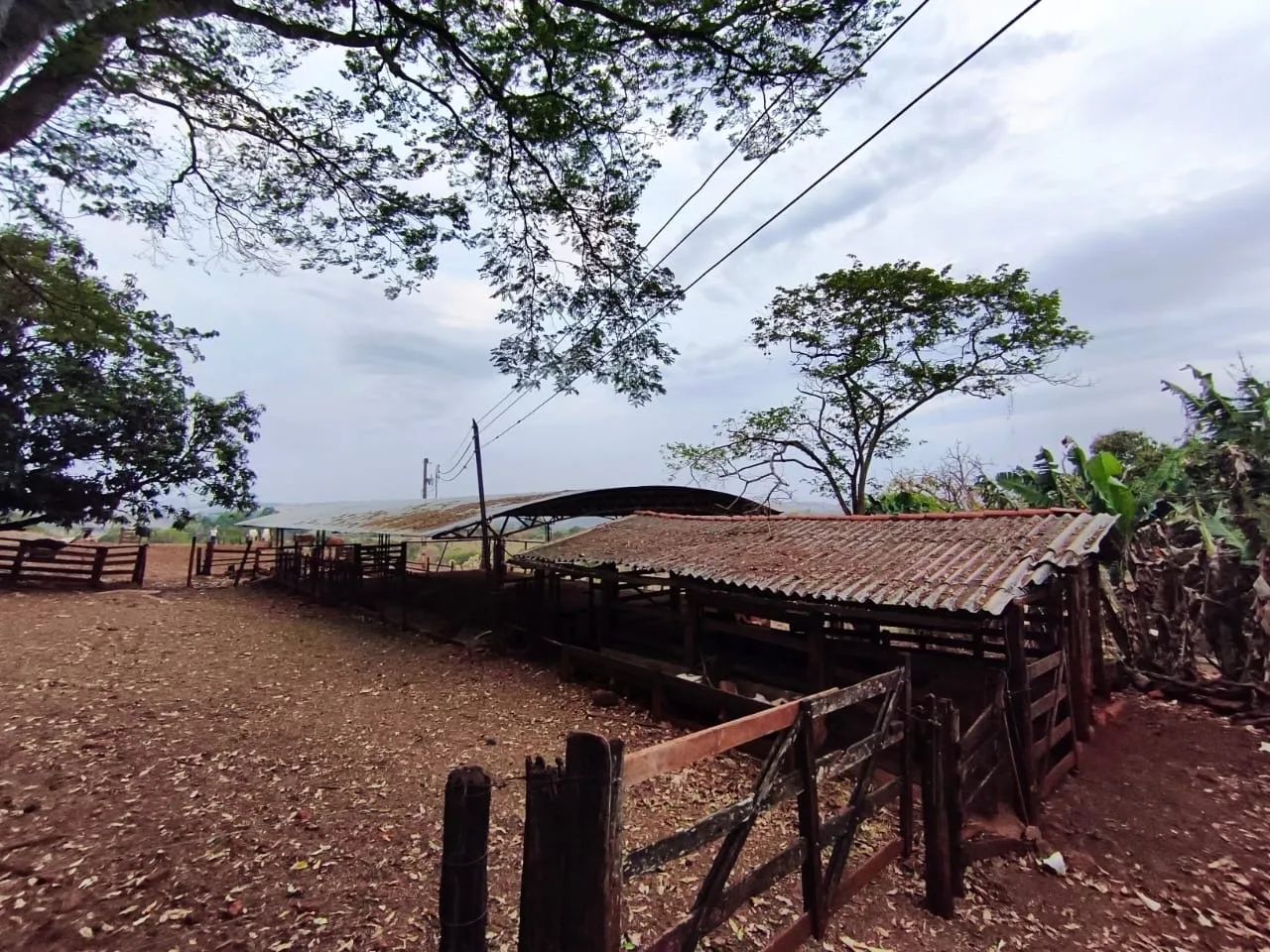 Fazenda à Venda  - Foto 4