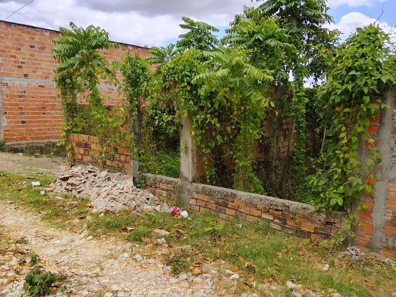 Excelente Terreno Em Cajari - MA - Foto 5